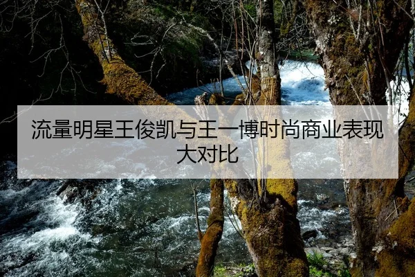 流量明星王俊凯与王一博时尚商业表现大对比